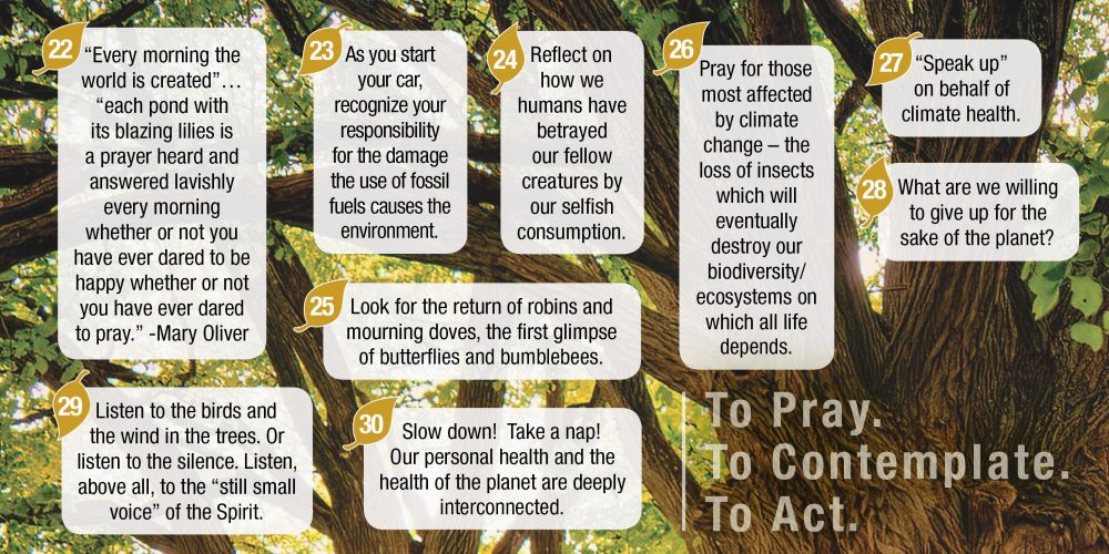 April is Earth Month… God’s Green Earth is Calling Out to Us All