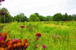 Soothing Silence… in July at Dominican Center at Marywood