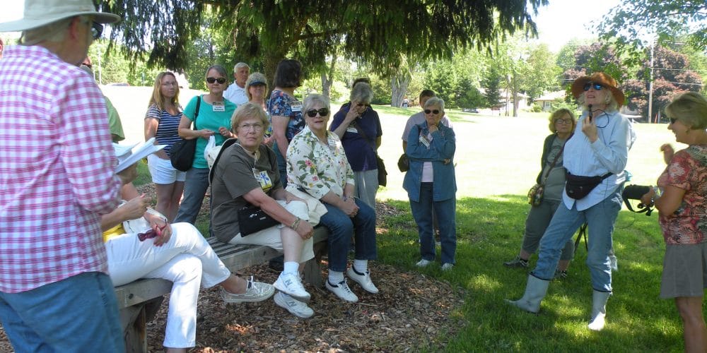 Learning & Service Opportunity in Prairie Habitat at Marywood