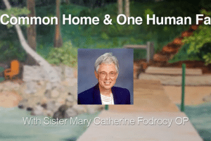 Laudato Si Video Series by Sr. Mary Catherine Fodrocy OP