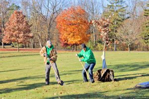 Tree Planting at Marywood with Friends of Grand Rapids Parks and Dominican Sisters