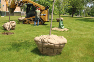 Expanding Natural Habitat at Marywood in Grand Rapids, Michigan