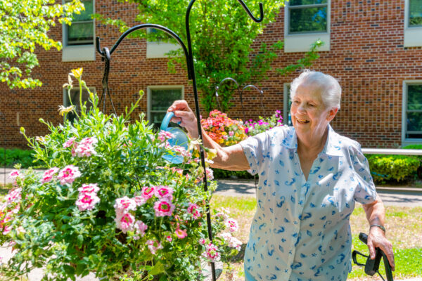 Joanne Toohey garden