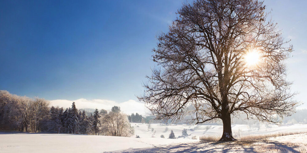 Saturday Inspiration: God of Beginning Again