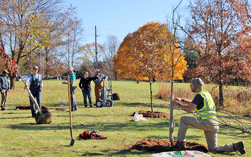 Tree Planting at Marywood with Friends of Grand Rapids Parks and Dominican Sisters