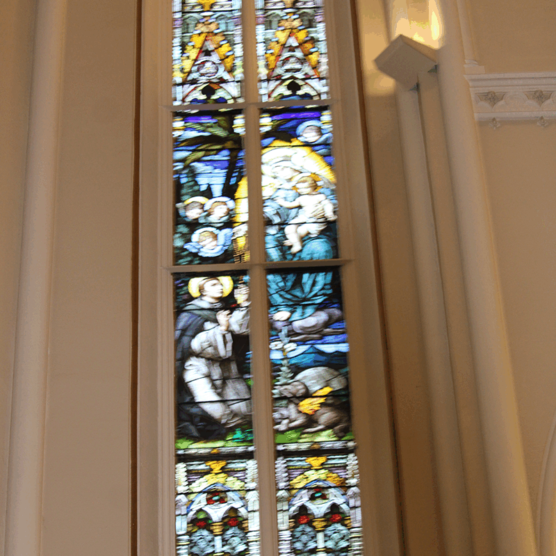 In a Pilgrimage of Hope focused on Care of Creation and the Cry of the Poor,