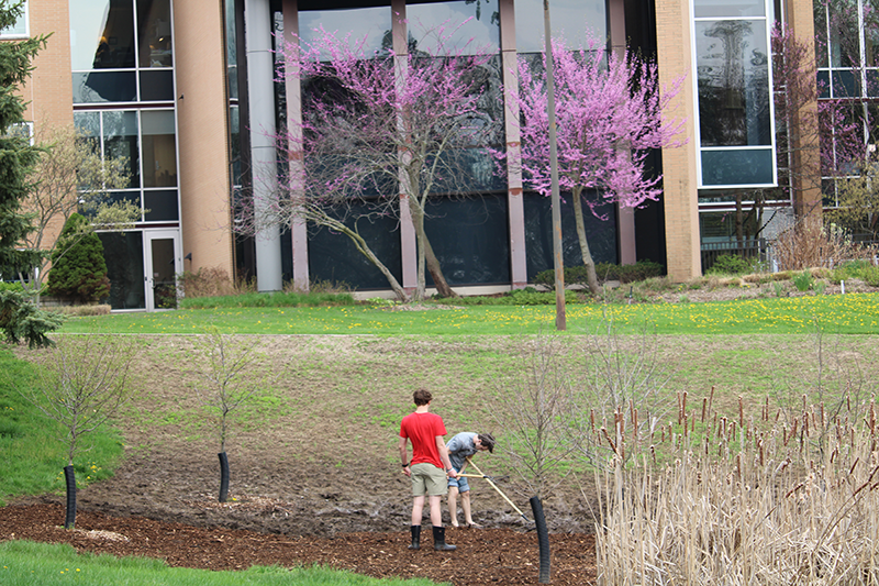 Aquinas College students are part of our volunteer land stewardship team at Marywood in Grand Rapids.