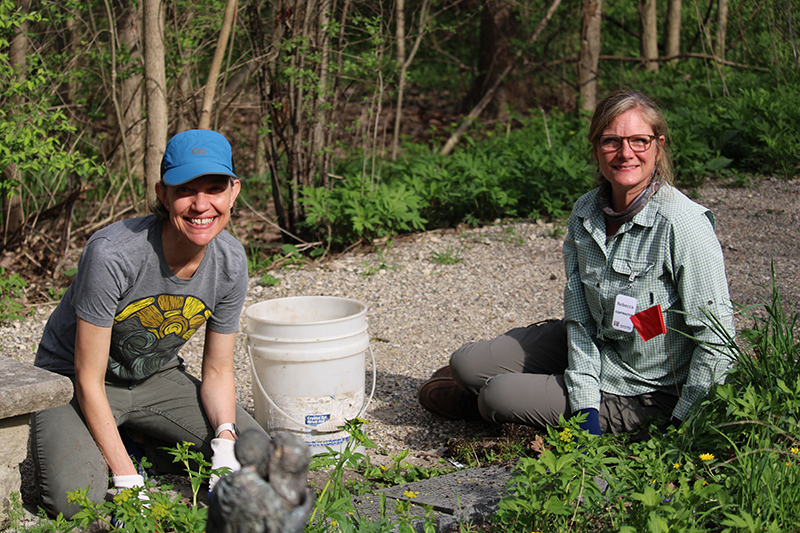 Aquinas College Professor Amy Strand and Landscape Architect Rebecca Marquardt planting sedges along the path in the St. Francis Sculpture Garden located on Marywood Campus.