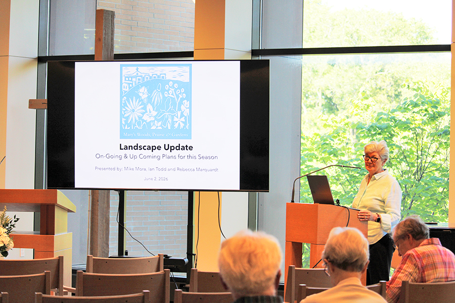 Masterplan for restoring ecological balance to Marywood Campus in Grand Rapids, Michigan