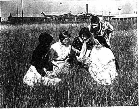 Mary DeHaus was a Naturalist and Poet 1960