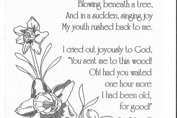 Poem by Sr Mary DeHaus
