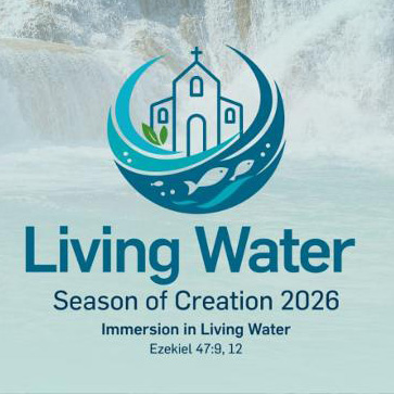Season of Creation 1 x 1 icon